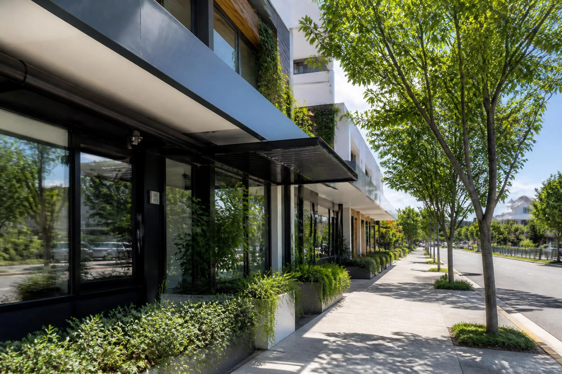 Contemporary retail shopfronts along a tree-lined Brisbane street