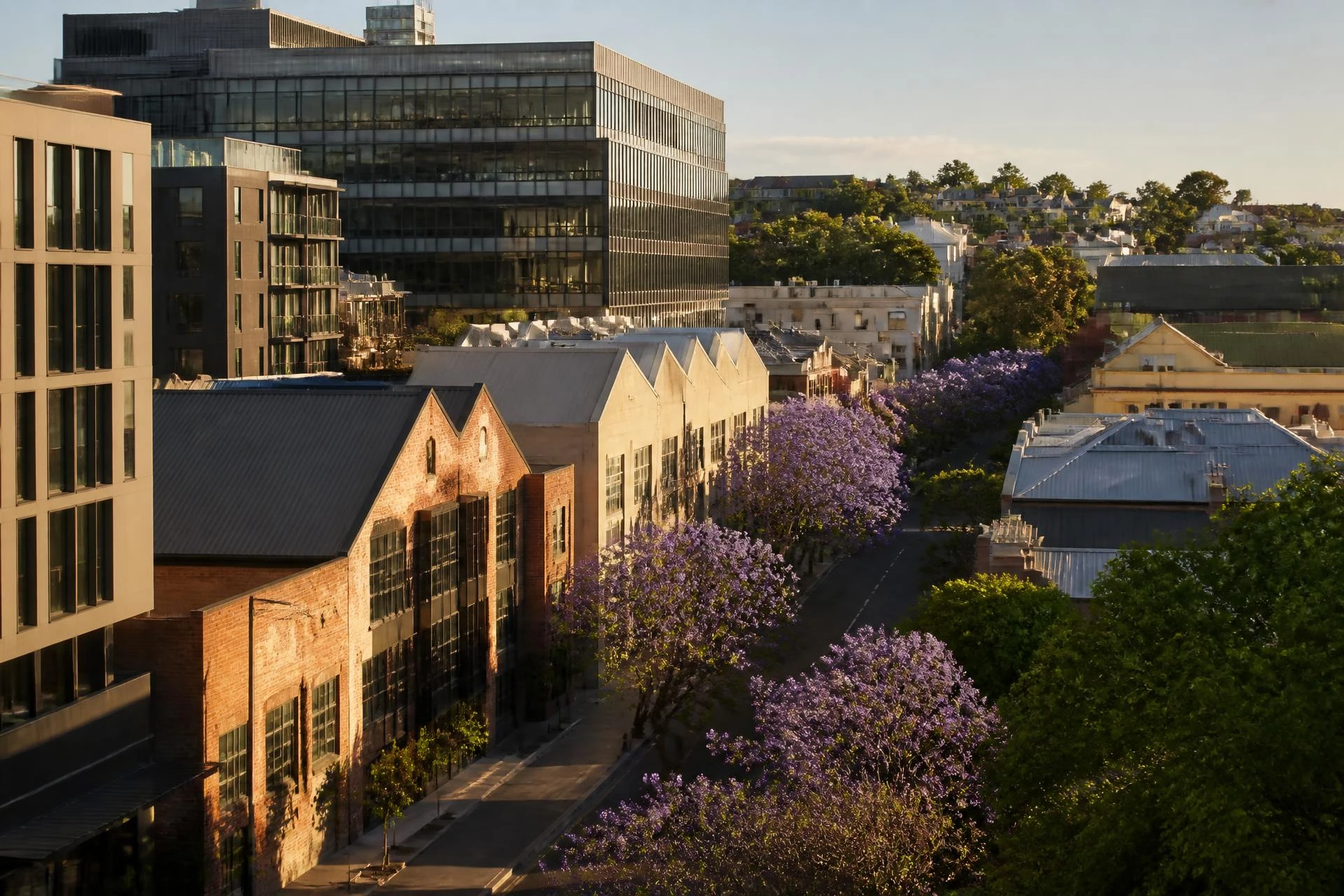 Inner-city Brisbane commercial precinct with jacaranda trees in bloom